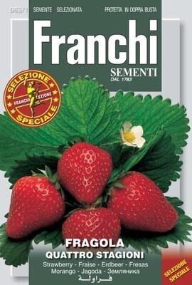 Strawberry Alpine (Fragaria Vesca L.) (Bag) - Franchi Sementi