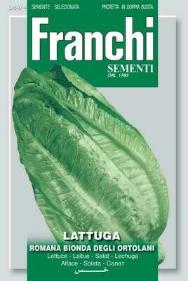 Lettuce Romaine (Lactuca sativa L.) (Bag) - Franchi Sementi