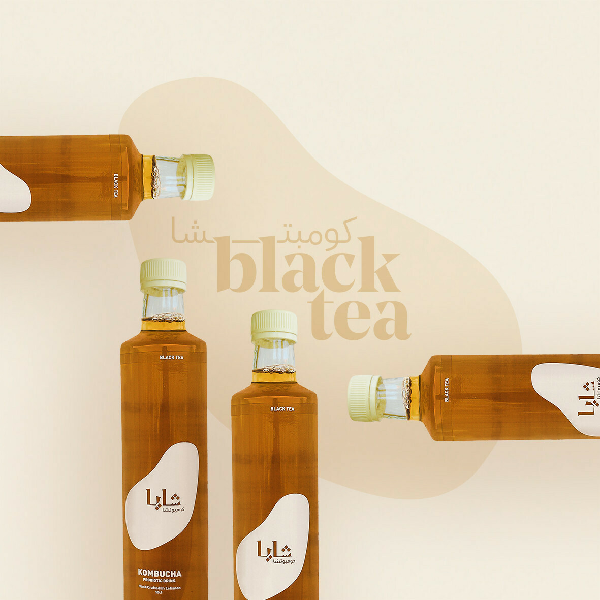 Kombucha Black Tea (Bottle) - Shaya
