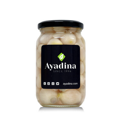 Onion Pickle (Jar) - Ayadina