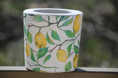 Concrete Lemon (Pot) - Coup de Glue