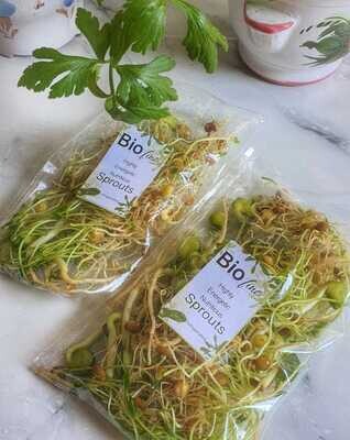 Sprouts (Bag) - Biofine