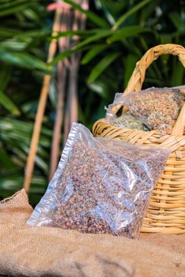 Micromeria (Micromeria myrtifolia) (Bag) - Nature by Marc Beyrouthy