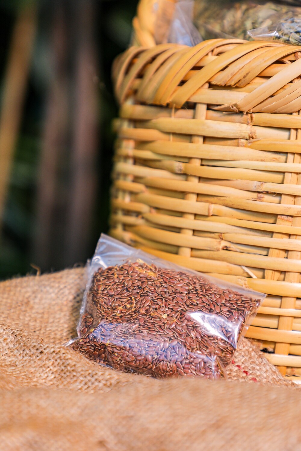 Flax Seeds (Linum usitatissimum) (Bag) - Nature by Marc Beyrouthy