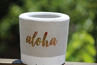 Concrete Aloha (Pot) - Coup de Glue