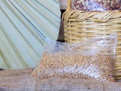 Wheat Grains (Bag) - Nature by Marc Beyrouthy