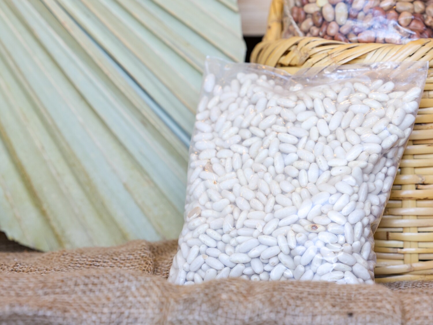 Beans White Small فاصوليا بيضاء صغيرة (Bag) - Nature by Marc Beyrouthy