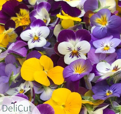 Edible Flowers Viola (Box) - DeliCut