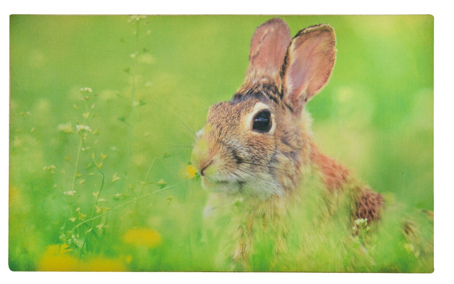 Doormat Rabbit (Piece) - Furn Art