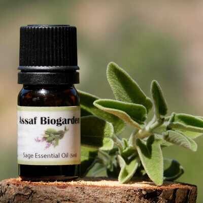 Essential Oil Sage (Bottle) - Assaf Biogarden