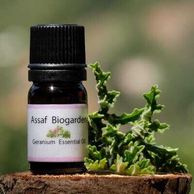Essential Oil Geranium (Bottle) - Assaf Biogarden