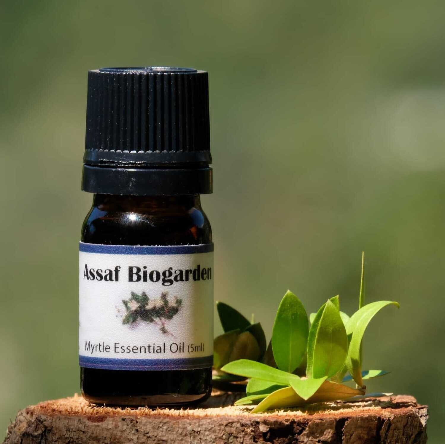 Essential Oil Myrtle (Bottle) - Assaf Biogarden