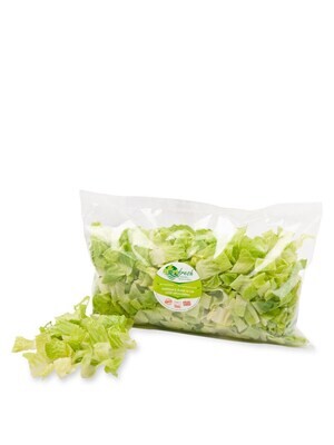 Lettuce Shredded (Bag) - Agrifresh