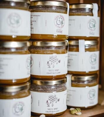 Honey Thistle (Jar) - Jabal Moussa