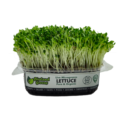 Microgreens Lettuce (Bag) - Bioland Greens