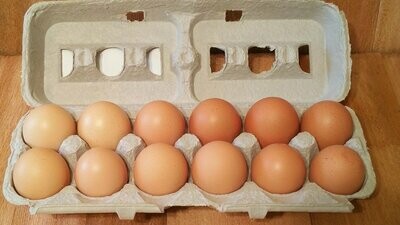 12pk carton Organic Brown Eggs per carton