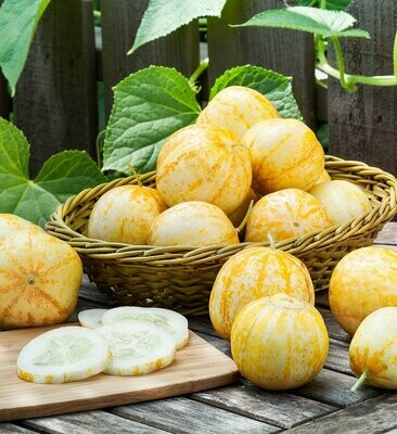 Organic Lemon Cucumbers per lb