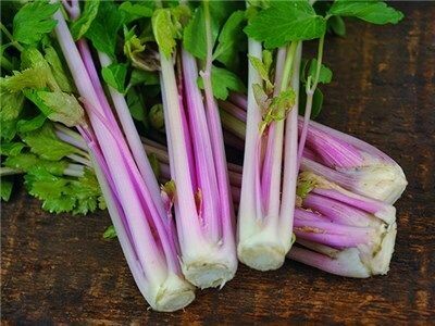 Organic Purple Celery per bunch/ea