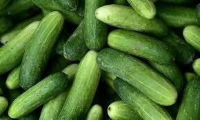 Organic Green Pickling Cucumbers per lb
