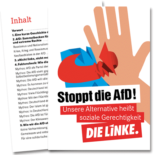 Broschüre "Stoppt die AfD"