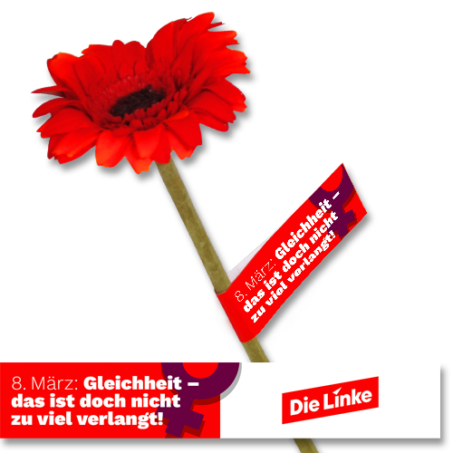 Banderole &quot;Frauentag-Gleichheit&quot;