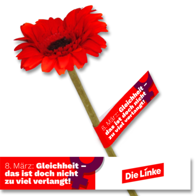 Banderole &quot;Frauentag-Gleichheit&quot;