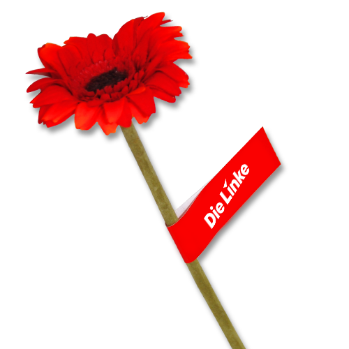 Banderole &quot;Die Linke&quot;