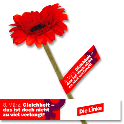 Banderole &quot;Frauentag-Gleichheit&quot;
