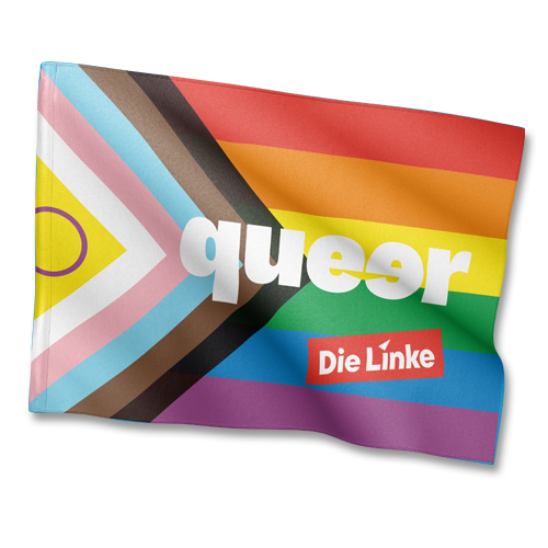 Fahne &quot;queer&quot; 60 x 40 cm