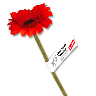 Banderole Frauentag "Gleichberechtigung"