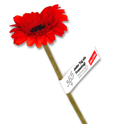 Banderole Frauentag "Gleichberechtigung"