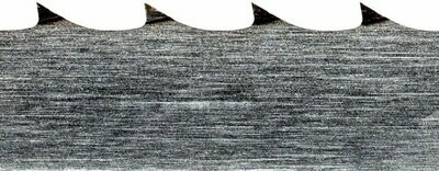 Sägeband Munkfors 3110 x 35 x 0,9 für Blockbandsägen CTR 550  / CTR 550 E