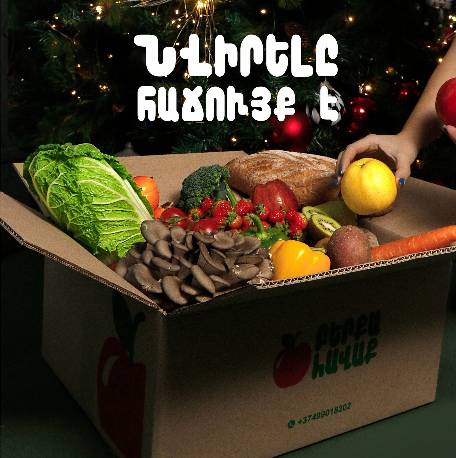 E-commerce Product Image