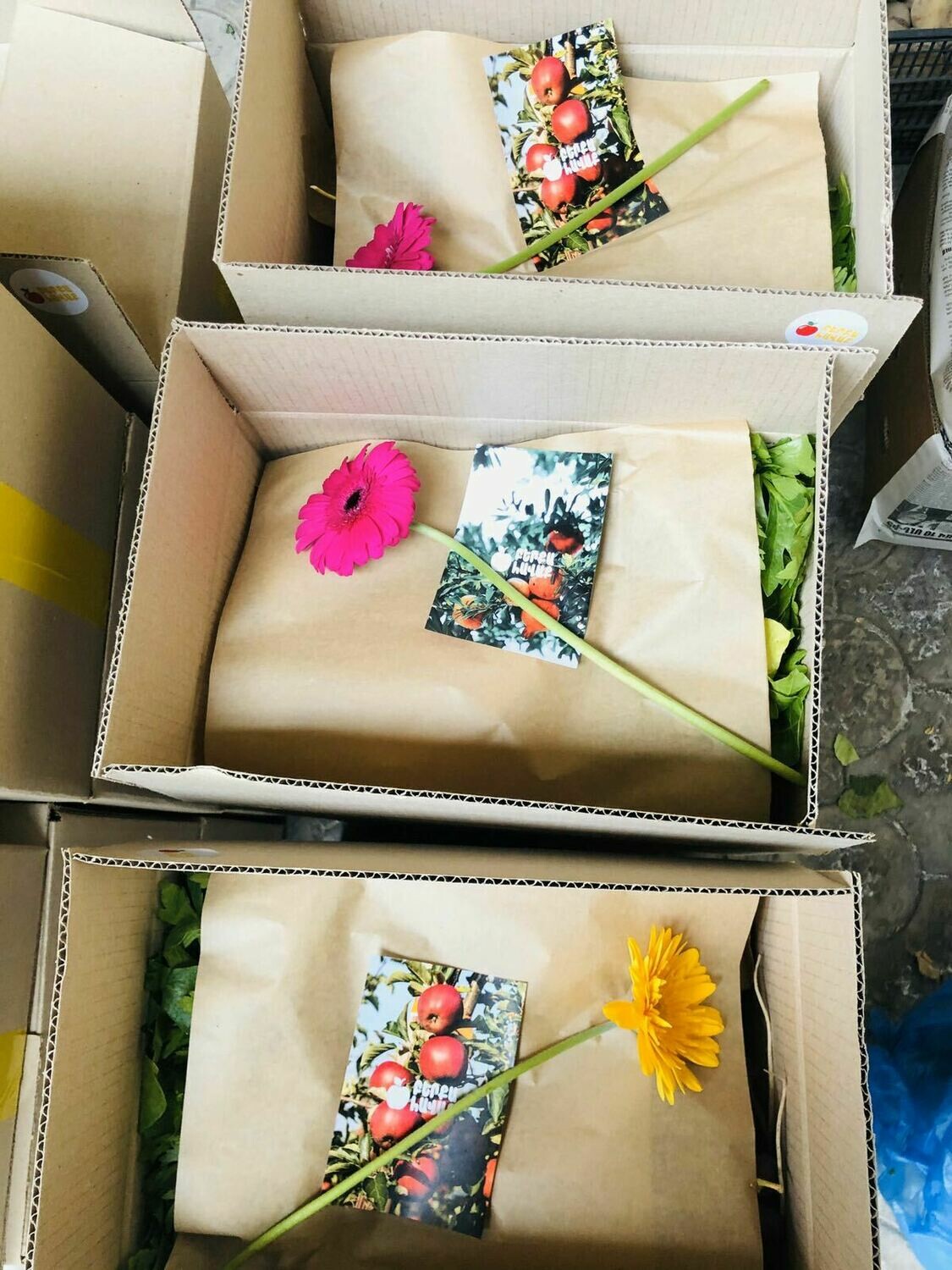 E-commerce Product Image