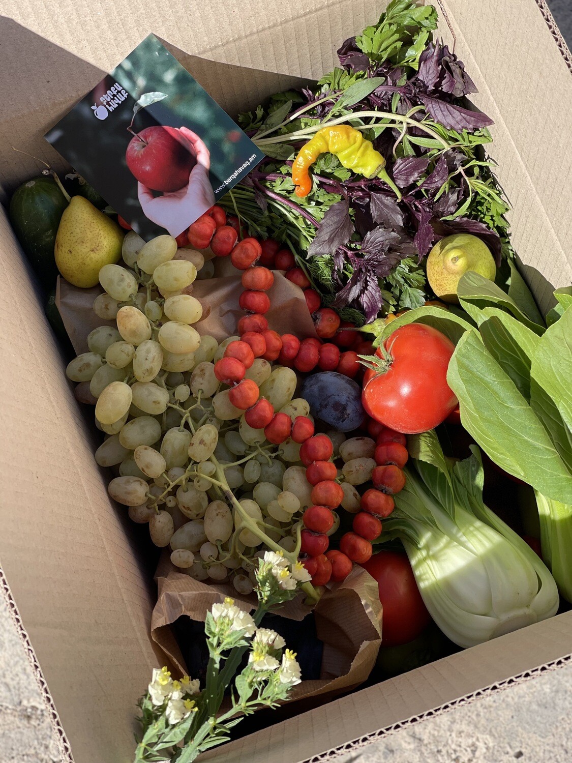 E-commerce Product Image