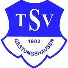 Feuerkorb TSV Gestungshausen