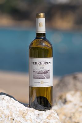 TERREBRUNE BLANC