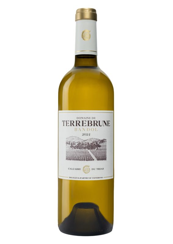 TERREBRUNE BLANC 2024 (Par caisse de 6 bouteilles, 32 €/bouteille)