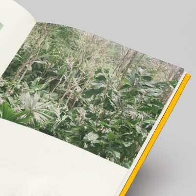 Defoliando el mundo. Ecocidio, evidencia visual y 'tierra memoria' PAPERBACK