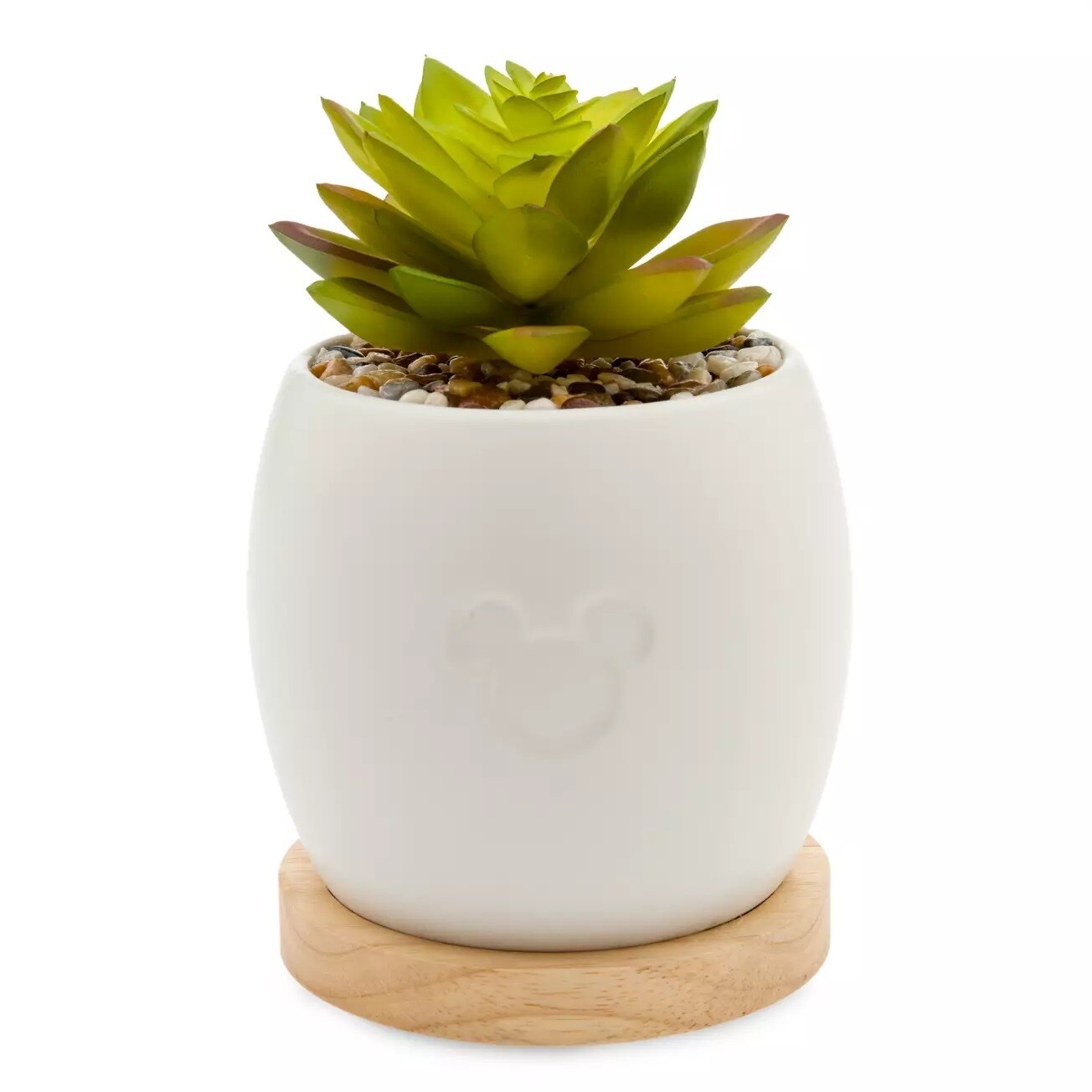 Mickey Mouse Succulent Planter