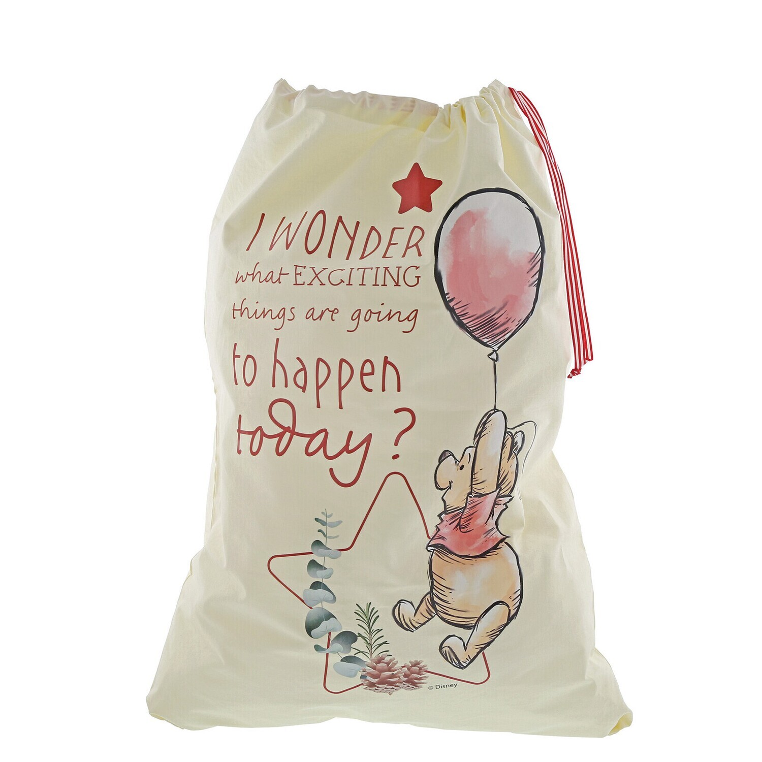 Disney Enchanting - Winnie the Pooh Christmas Sack