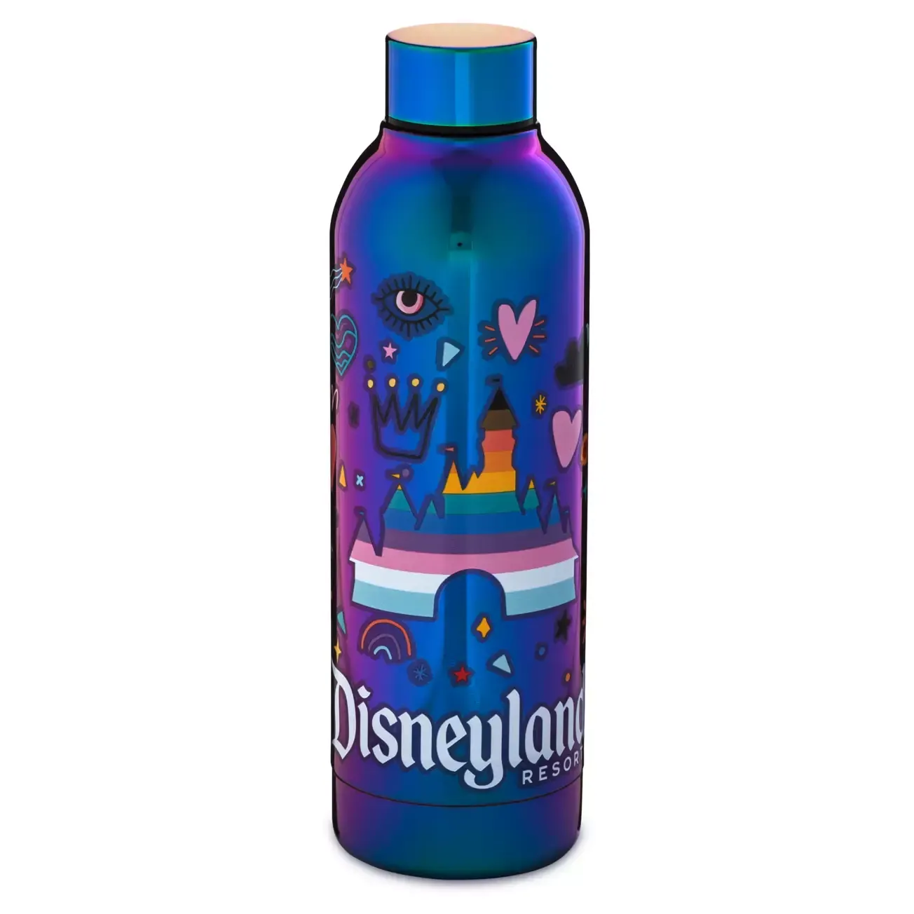 Disneyland Pride Stainless Steel Water Bottle