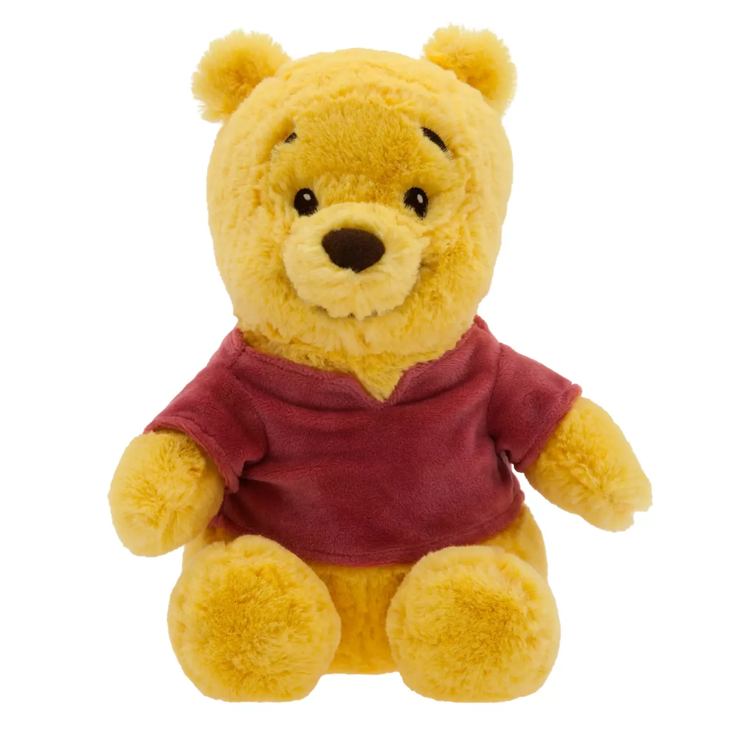 Winnie the Pooh Plush with Blanket Pouch