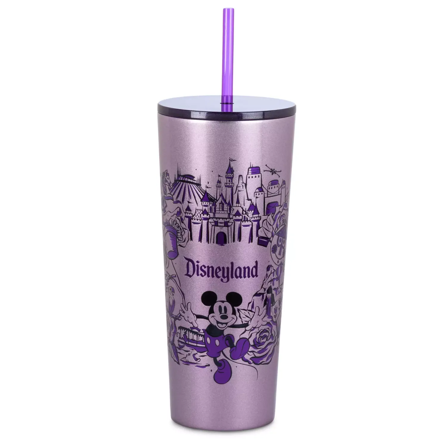 Disneyland Stainless Steel Starbucks Tumbler with Straw