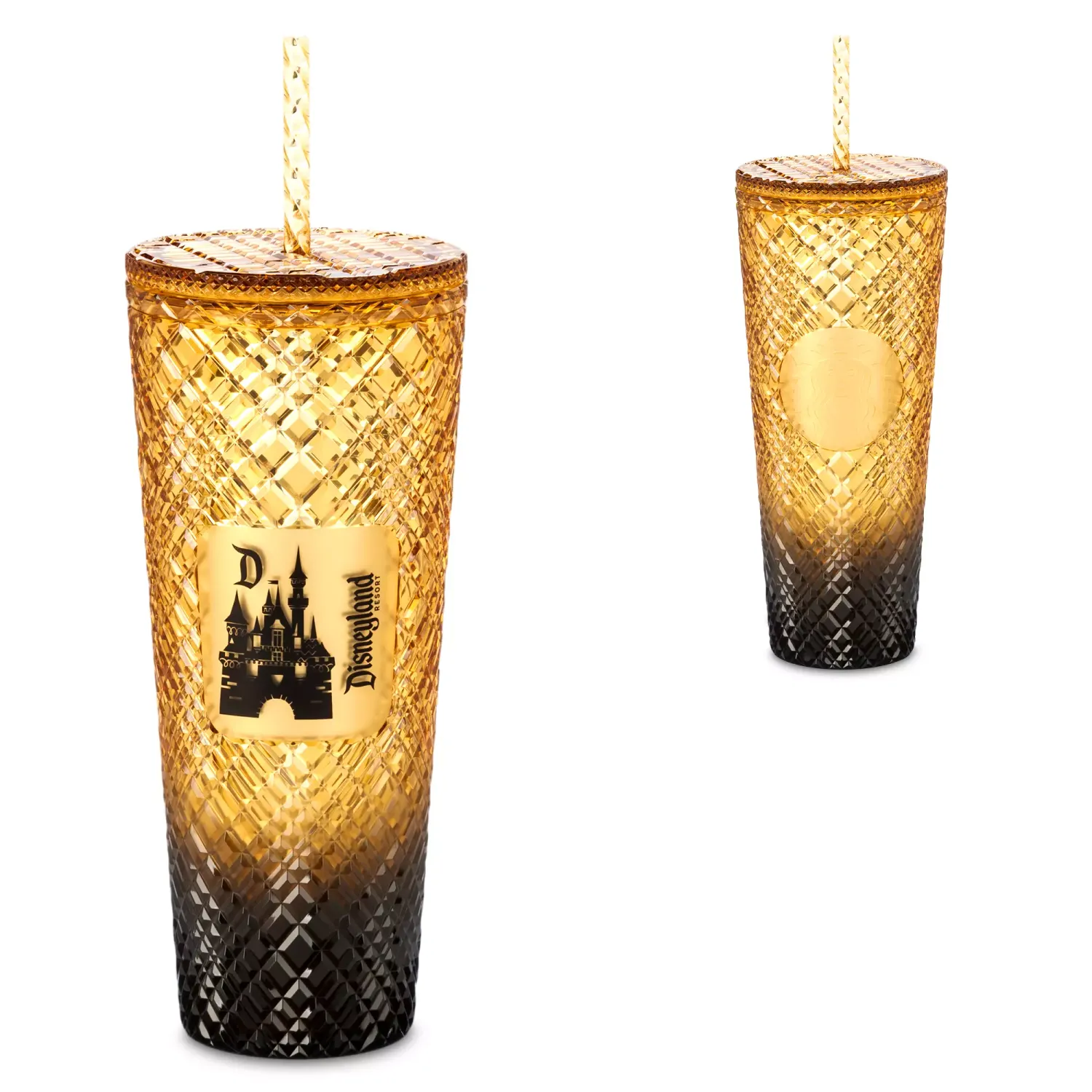 Disneyland Sleeping Beauty Castle Geometric Starbucks Tumbler with Straw