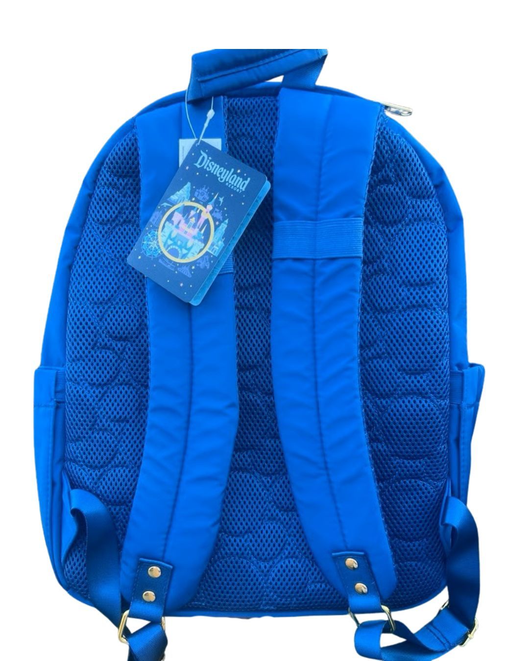 Disneyland Resort Icons Backpack