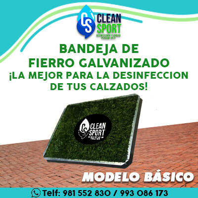 BANDEJA DE DESINFECCIÓN:  FIERRO GALVANIZADO (+20% de descuento)