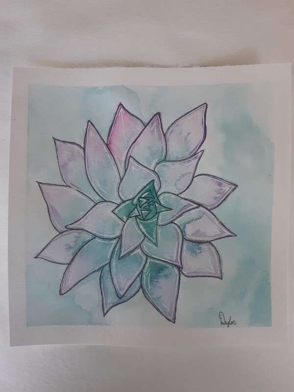 Succulent