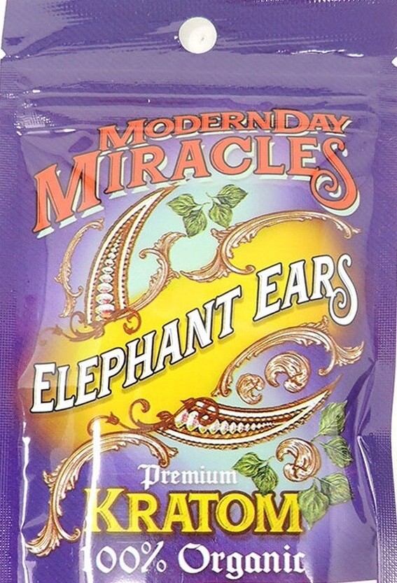 MODERN DAY ELEPHANT EARS