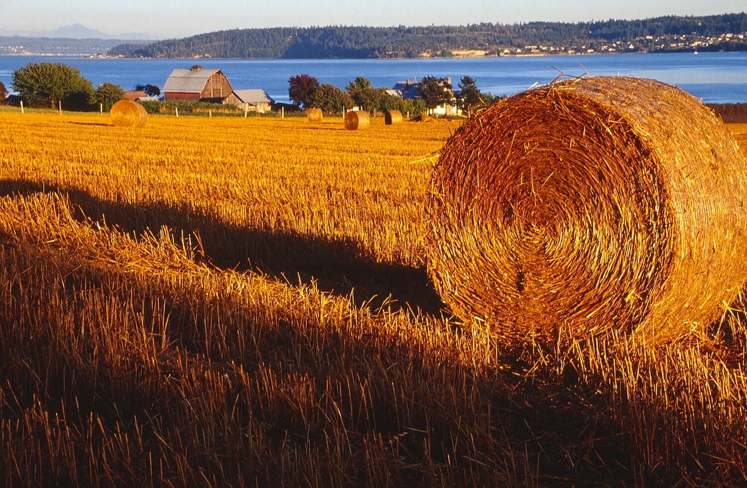 Barn &amp; Hayroll